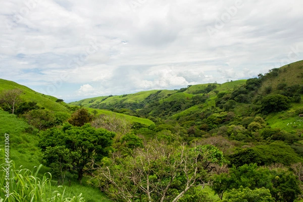 Obraz landscape with sky