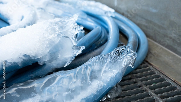 Fototapeta 凍り付いたホース