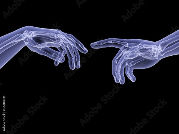 Obraz Creation X-ray
