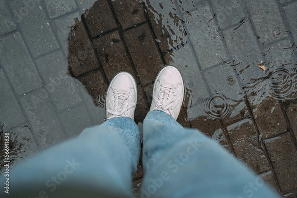 Fototapeta the legs of a woman in a puddle in a white sneakers and a blue jeans. A black umbrella is reflected in a puddle. it's raining
