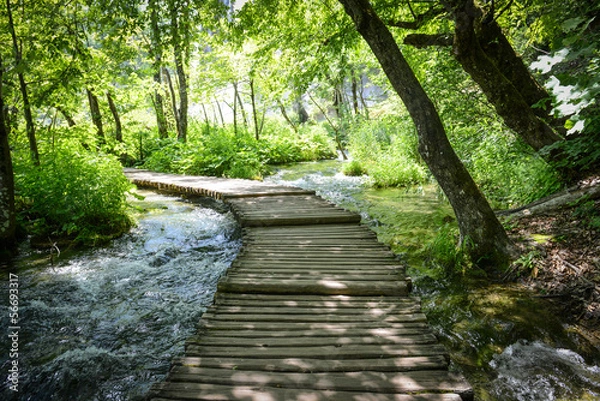 Obraz Hiking Path on a Wooden Trail