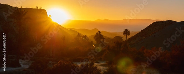 Obraz coconut palms in tropic on sunset