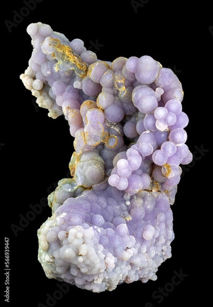 Obraz Agate grappe