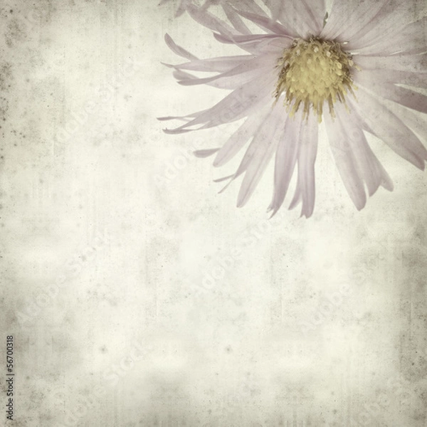 Obraz textured old paper background