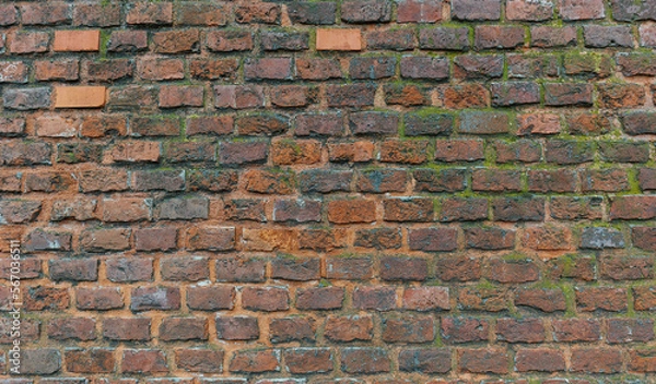 Fototapeta a wall of red bricks of various shades, covered with green moss and chips, with signs of destruction. background texture