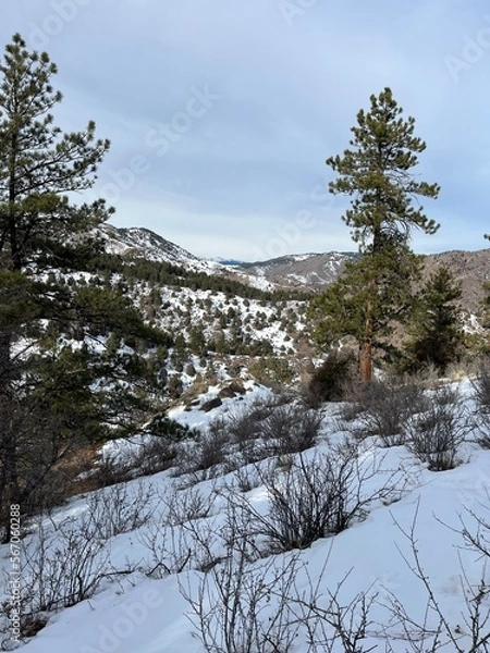 Fototapeta Hiking The Foothills Of Morrison Colorado