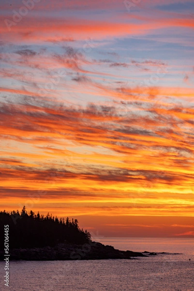 Obraz maine sunrise vertical
