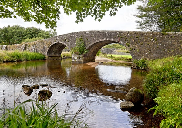Obraz Stone bridge in Dartmoor National Park in England