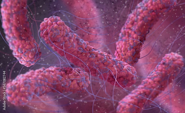 Fototapeta Medical background, bacteria facultative anaerobes, Salmonella, enterobacteria, rod-shaped, flagella over the entire surface, causative agent of salmonella infection, pathogen, 3D rendering