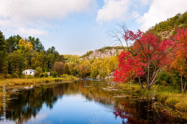 Fototapeta The trees and the river in autumn under the cloudy sky