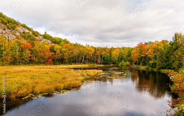 Fototapeta The trees and the river in autumn under the cloudy sky