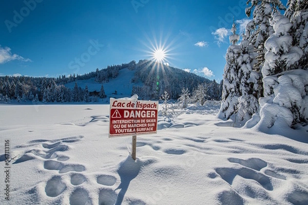 Fototapeta Le lac de Lispach sous la neige en hiver (La Bresse / Vosges)