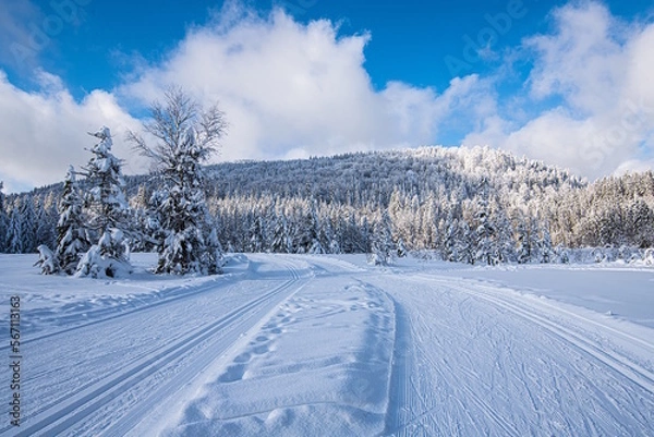 Fototapeta Le lac de Lispach sous la neige en hiver (La Bresse / Vosges)