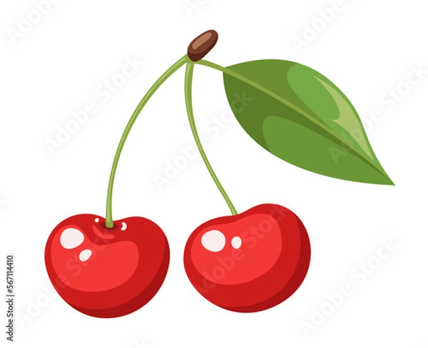 Fototapeta Vector cherry isolated on white background