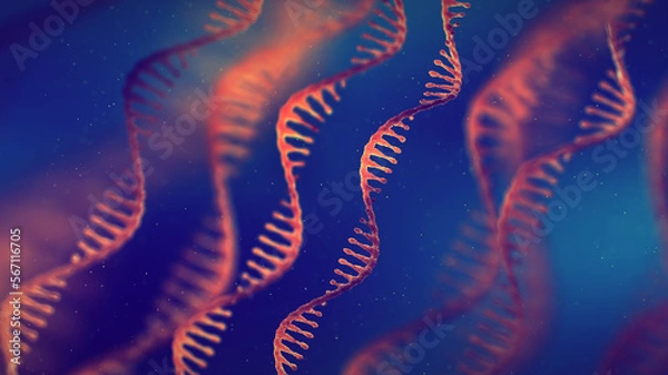 Obraz Single strand ribonucleic acid (RNA) molecules. RNA plays an important role in cellular protein synthesis. mRNA vaccine research concept