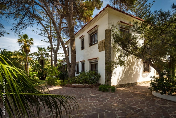 Obraz Family home with swimming pool and lawn, palm garden and pine trees.