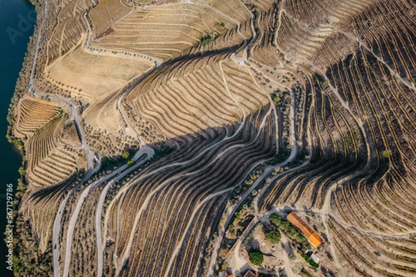 Fototapeta Aerial view of Douro Valley.Terraced vineyards and landscape near Pinhao, Portugal.Portuguese wine region. Beautiful autumn landscape.Concept for travel in Portugal and most beautiful places