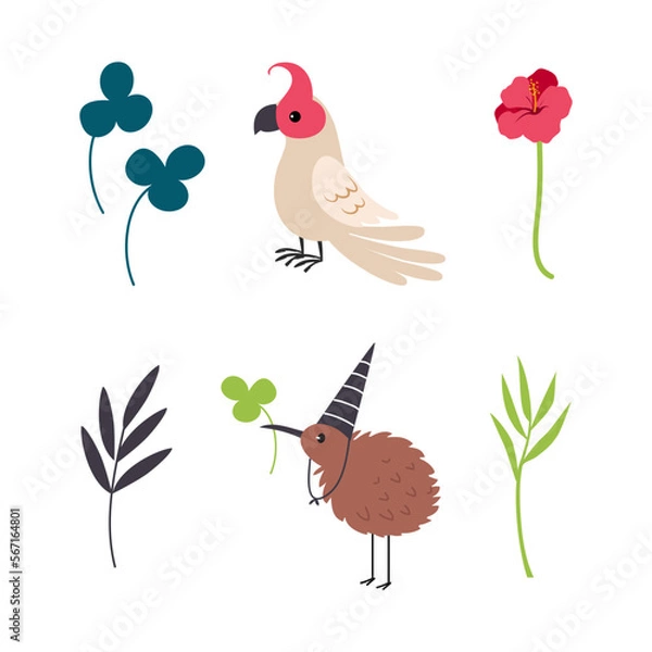 Obraz Cute Australian Animal with Kiwi Bird and Parrot Vector Set