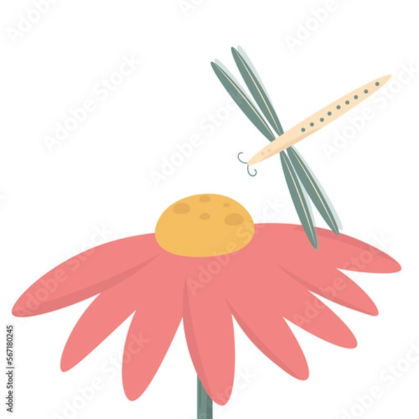 Fototapeta dragonfly