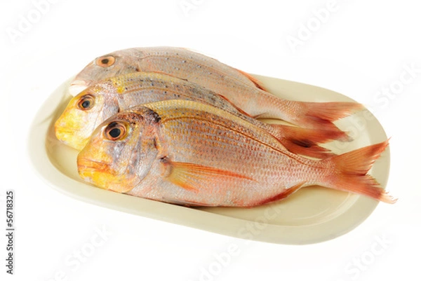 Fototapeta Pesce fresco pescato