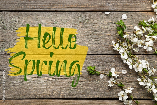 Fototapeta Beautiful blooming branches and text HELLO, SPRING on wooden background