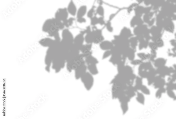 Fototapeta 背景イラスト_木漏れ日