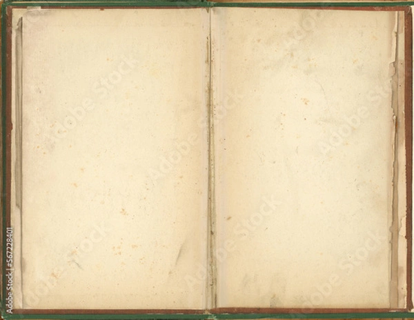 Obraz old book with pages