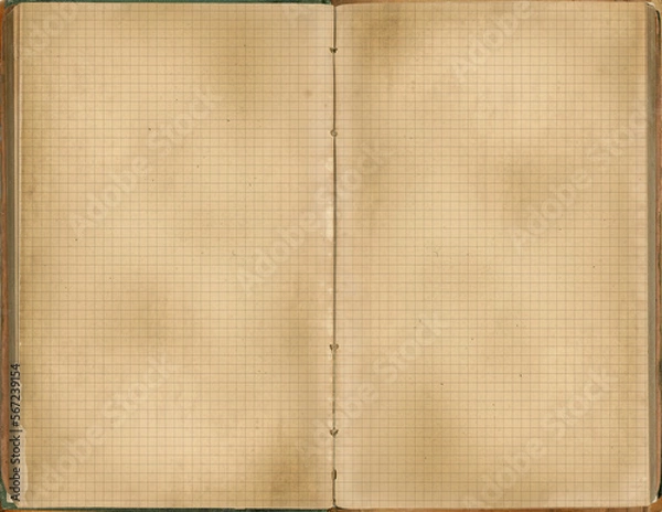 Obraz Old graph book page