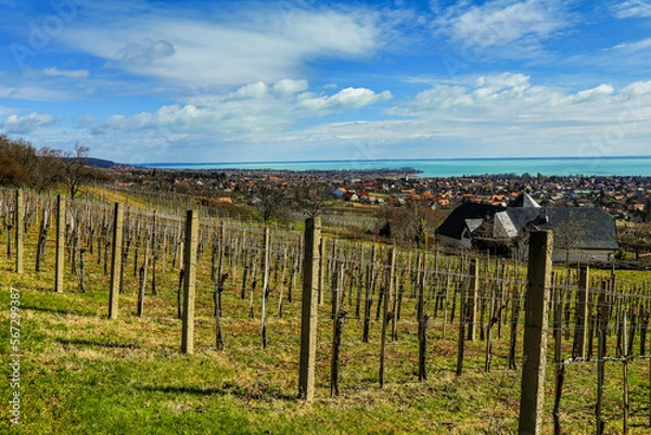 Obraz Sunny day near Csopak with Lake Balaton