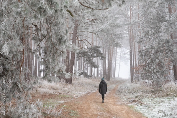 Obraz Postać w oszronionym lesie