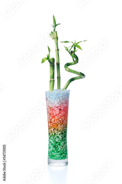 Obraz Glass jar with bamboo