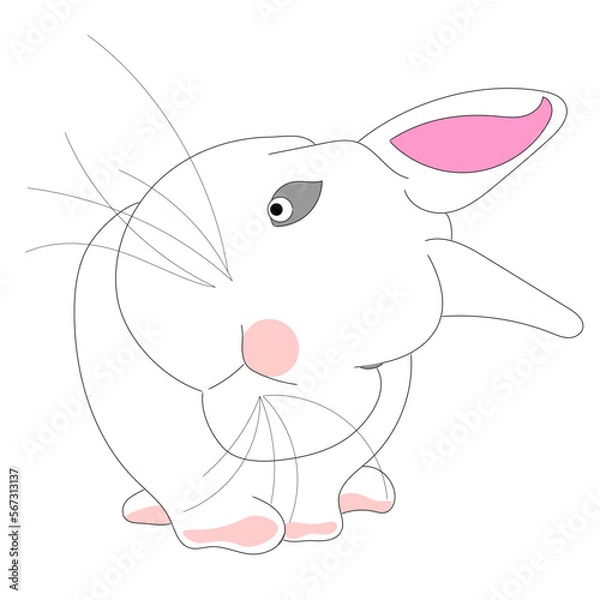 Obraz  Rabbit