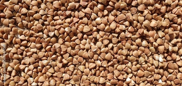 Fototapeta Buckwheat close-up. Buckwheat on burlap. Buckwheat grains isolated. Buckwheat texture. Healthy food, diet.