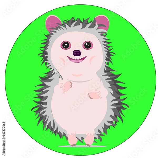 Obraz hedgehog laughs