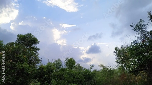 Fototapeta sky with cloud