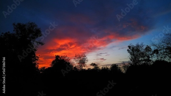 Fototapeta Oranges Evening Sky