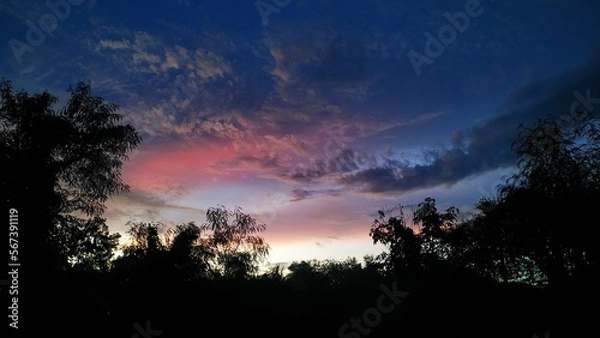 Obraz sunset, pink sky