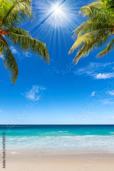 Fototapeta Sunny tropical beach. The leaves of palm trees tropical beach.  Summer vacation and tropical beach background concept. 