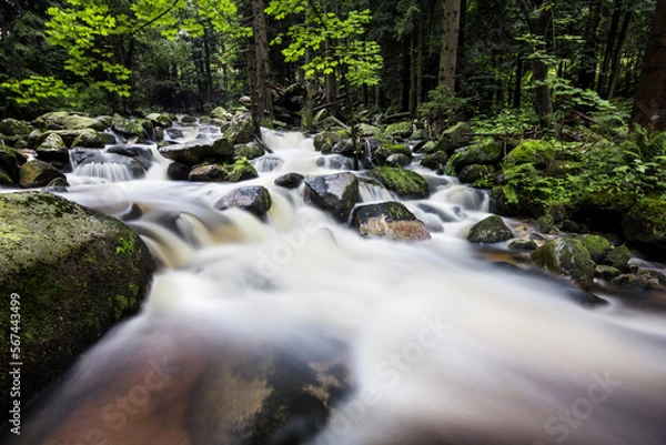 Obraz Karpacz - rzeka Samotnia