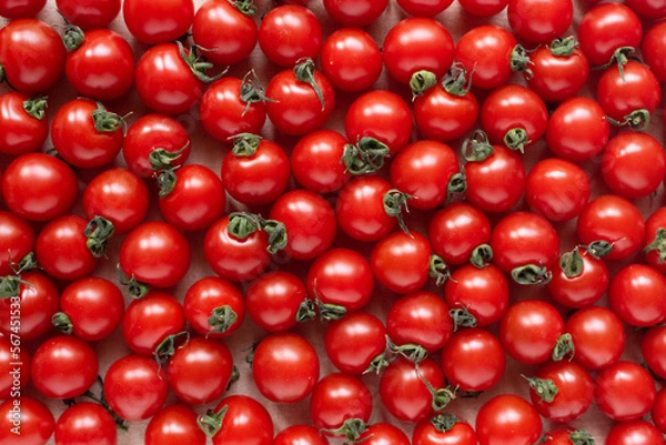 Fototapeta たくさんのミニトマト