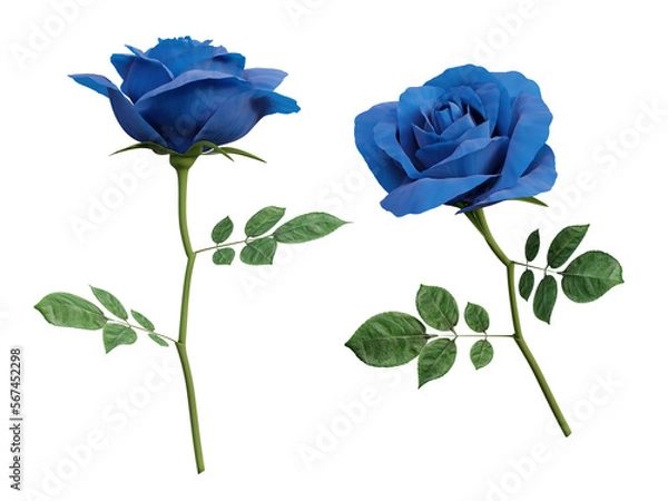 Obraz 3d blue rose flower
