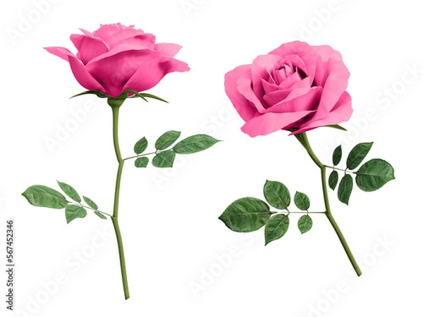 Obraz 3d pink rose flower
