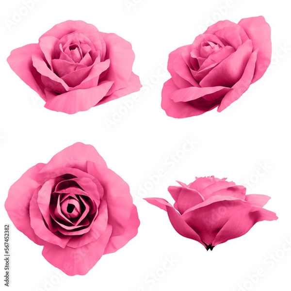 Obraz 3d pink rose flower buds
