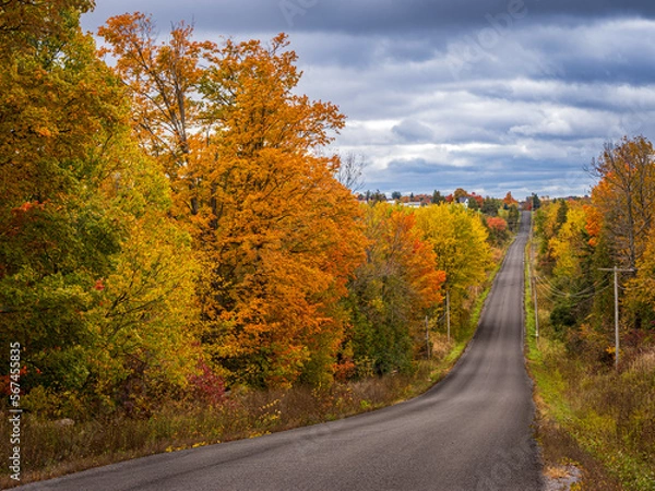 Obraz country road in autumn after rain