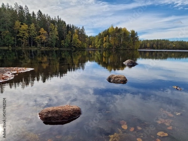 Obraz lake in the forest