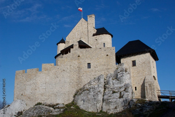 Obraz Stone castle in Poland