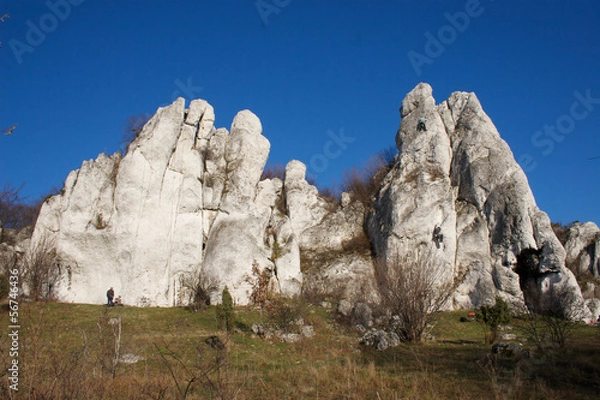 Obraz Stone castle in Poland