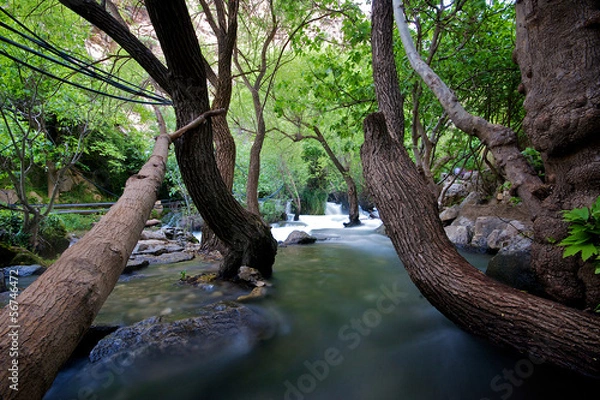 Fototapeta Khurmal Forrest w górach autonomicznego Kurdystanu