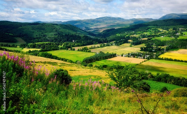 Fototapeta Scenic View of Invergordon, Scotland