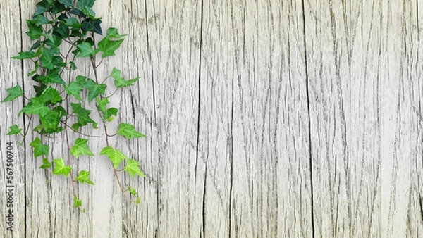 Obraz 木目背景とグリーン